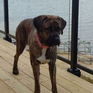 Meet your Posher, Sue